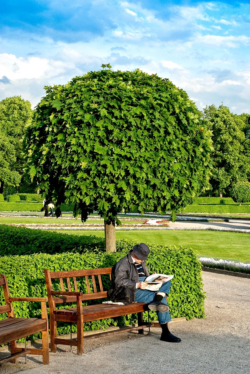 munich, courtyard garden, nature