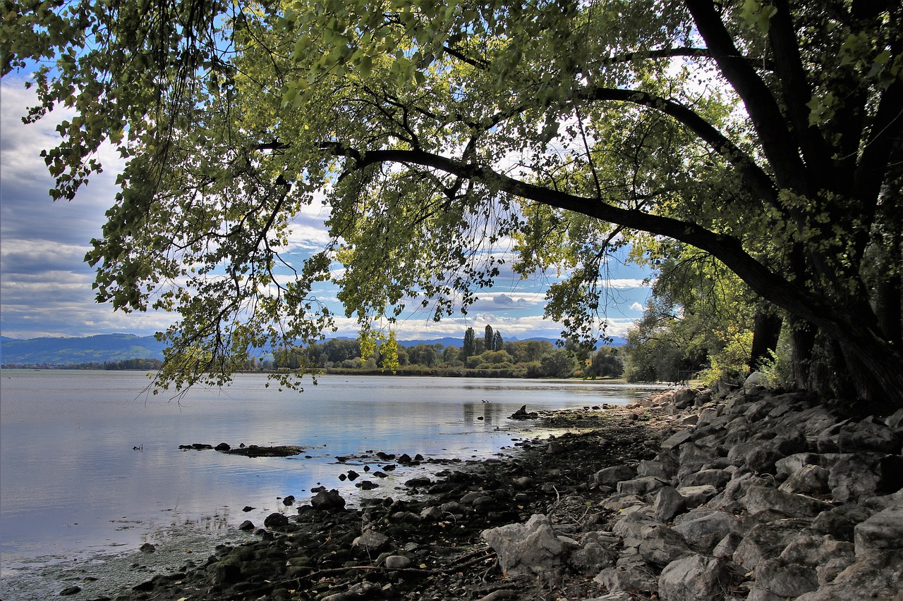 beach, lake, autumn